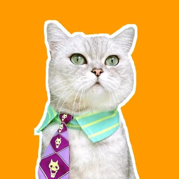 小懒猫^O^