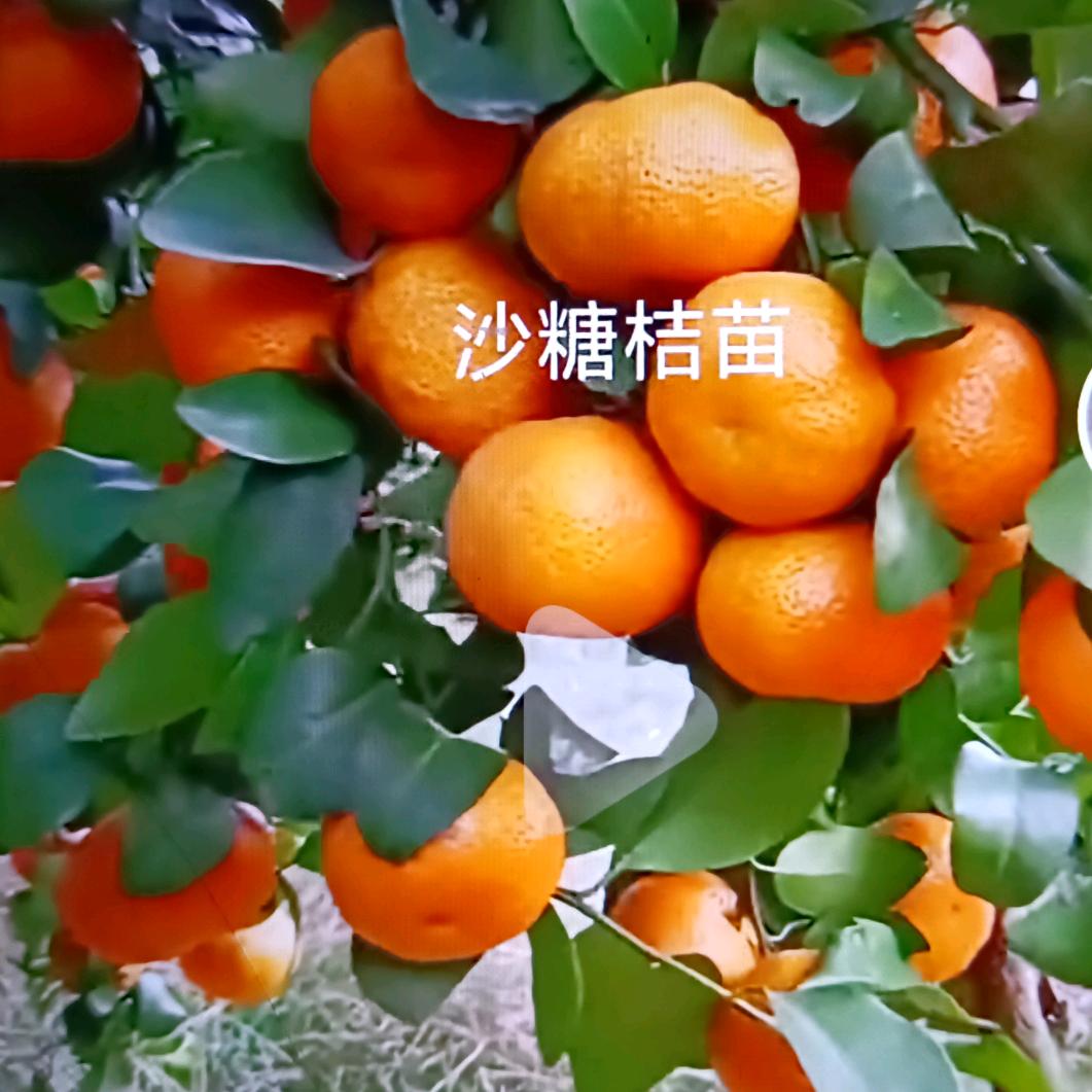 用户7209504543312