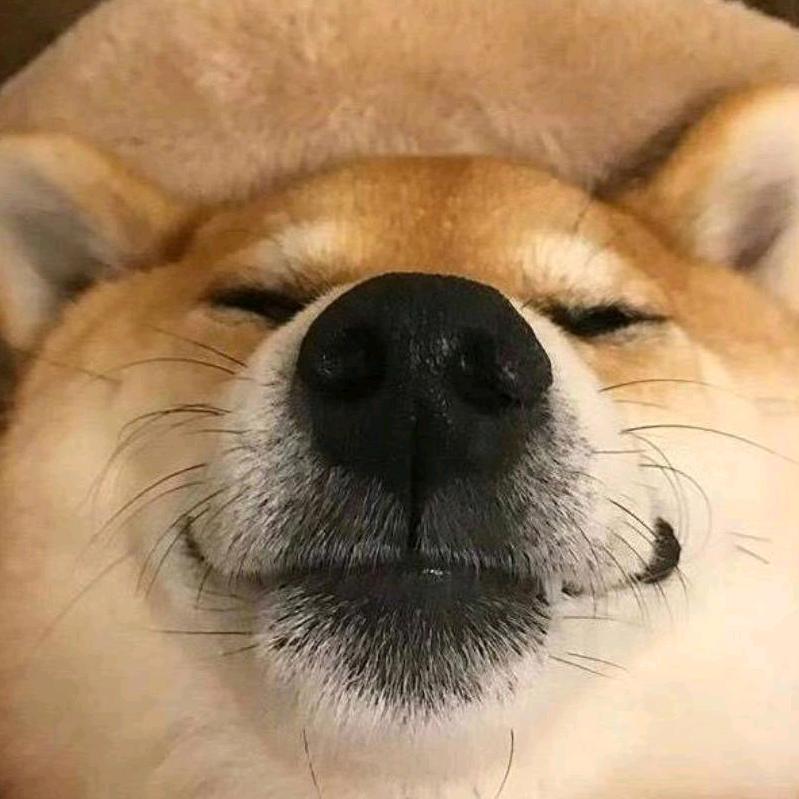 影子。