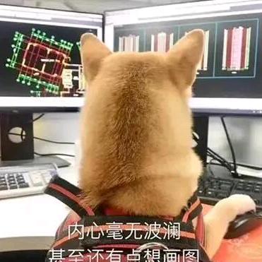 设计院的老王