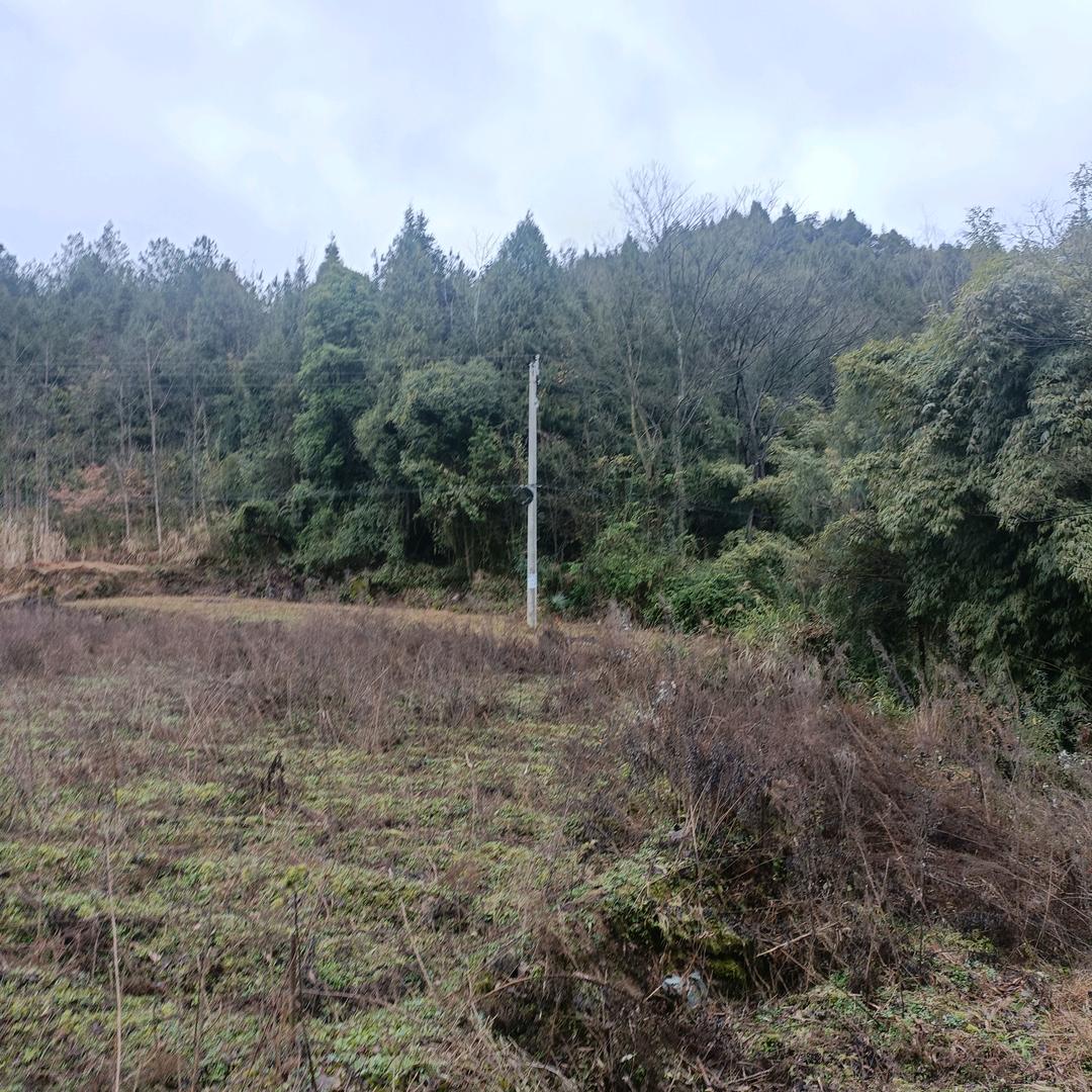 若有战，召必回