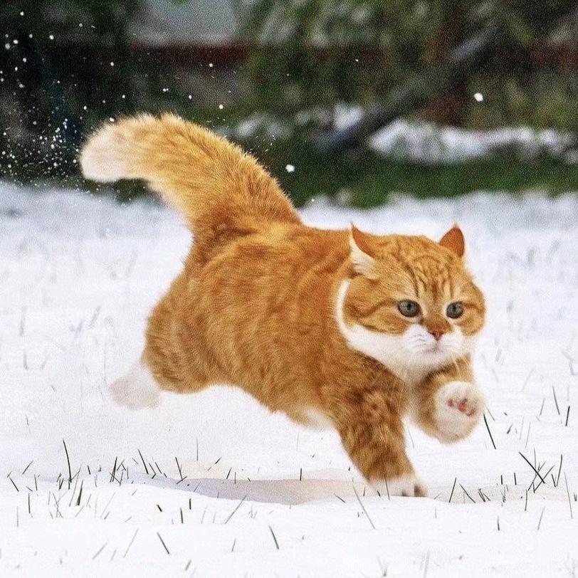 Soul Technician 灵魂技师