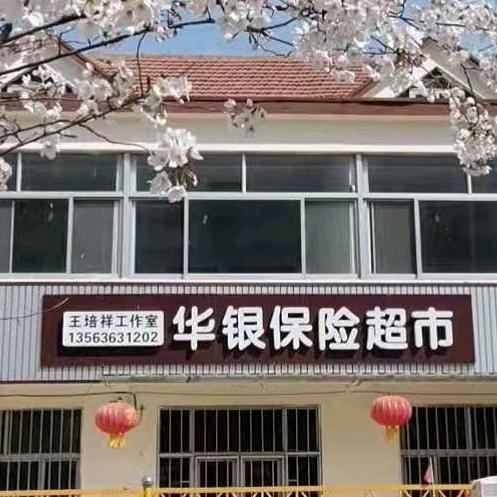 王培祥审车雕刻