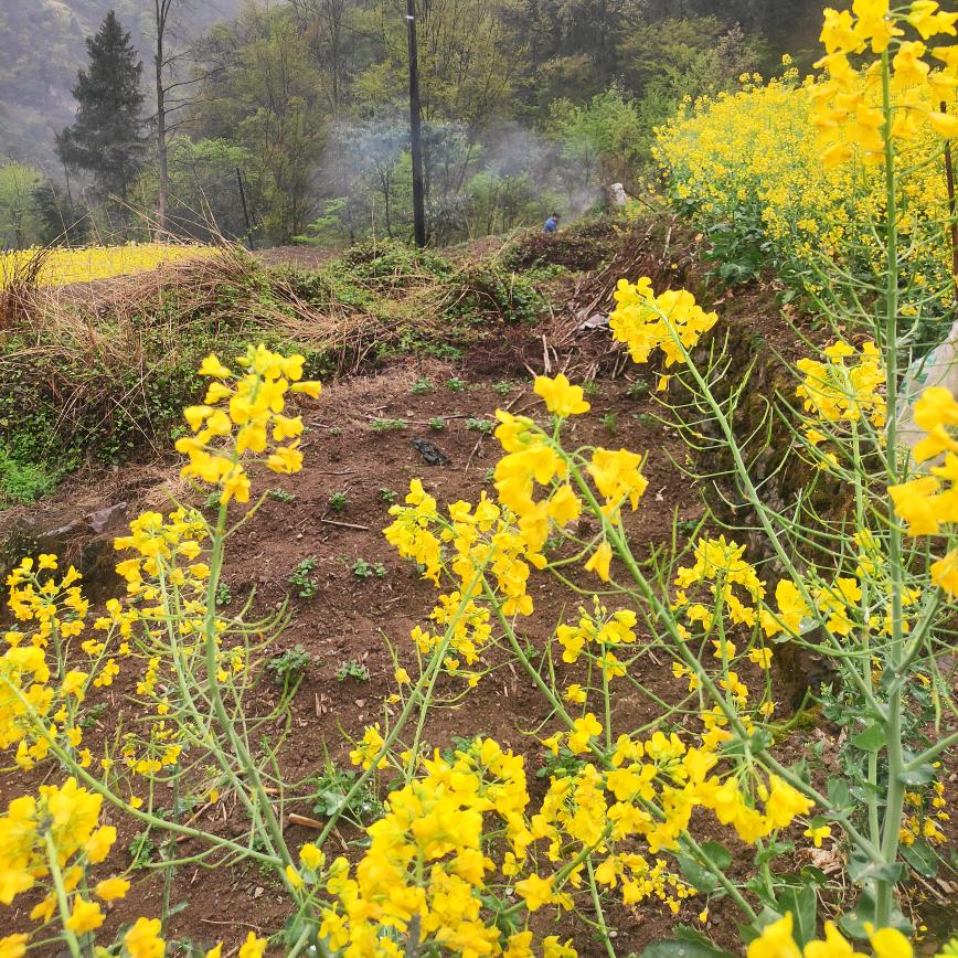 心心相印💕💕💕