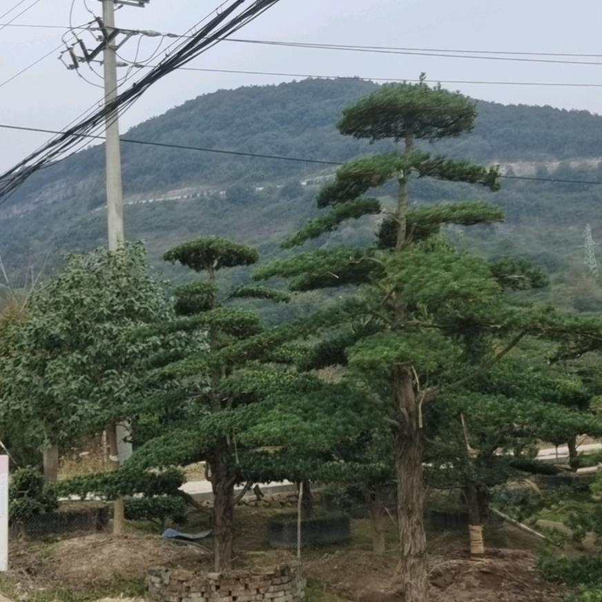 80后男孩