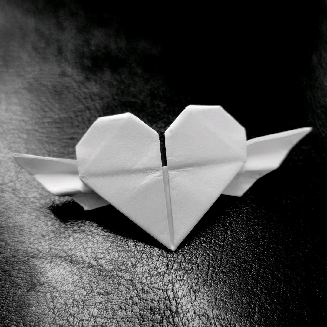 黄·金彪          🍒