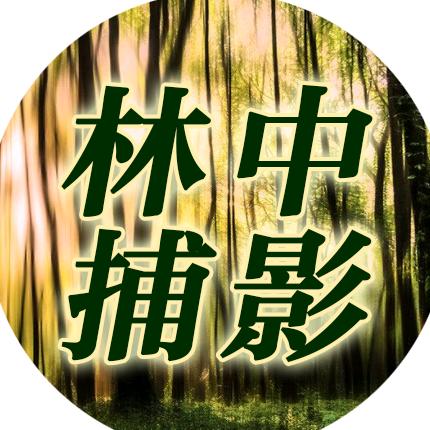 林中捕影