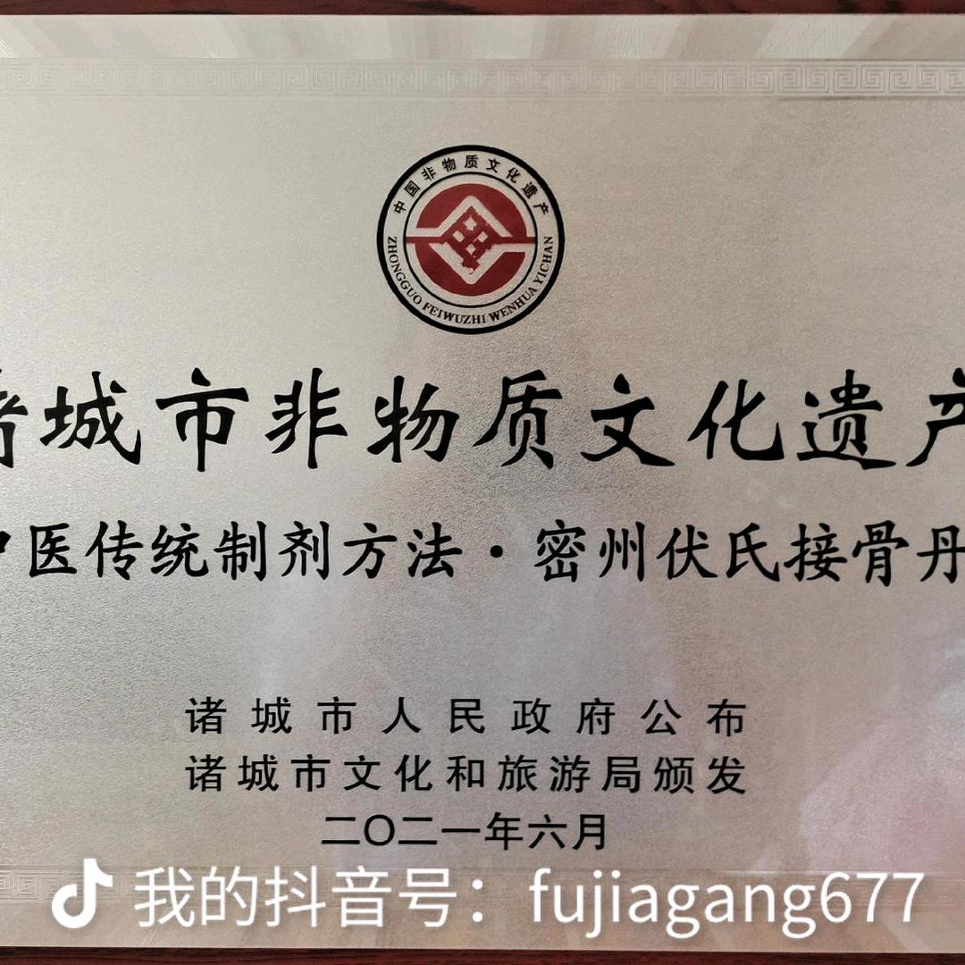 伏氏接骨丹
