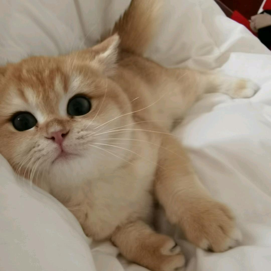 加油吧！！！