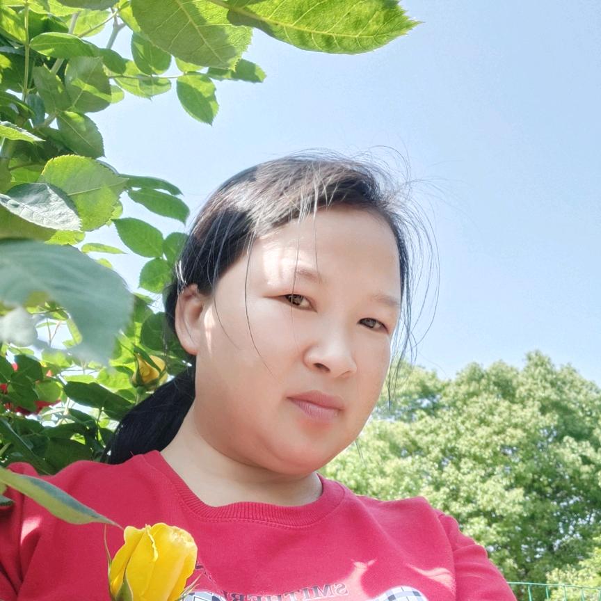 用户8130662428335
