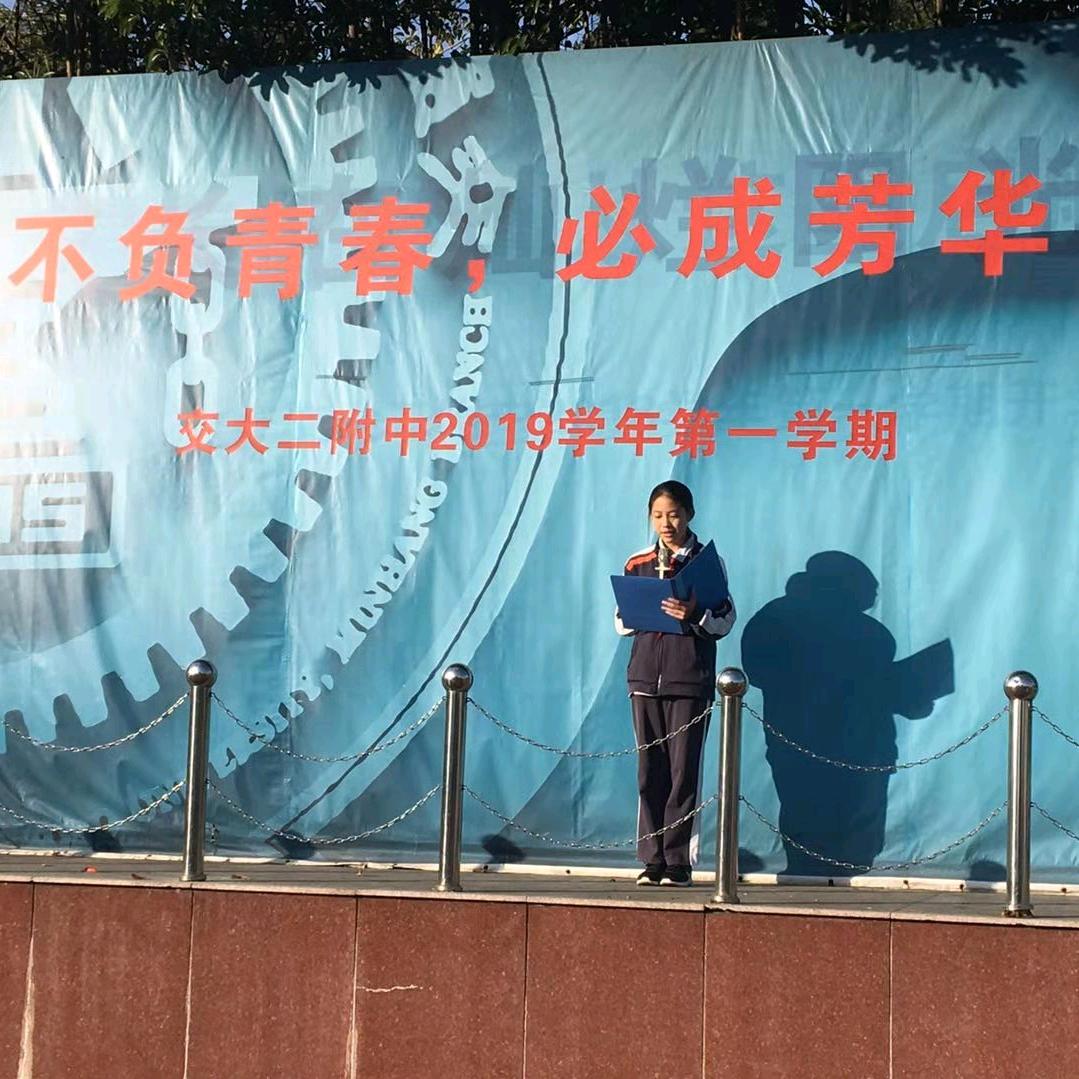 燕子飞翔Z