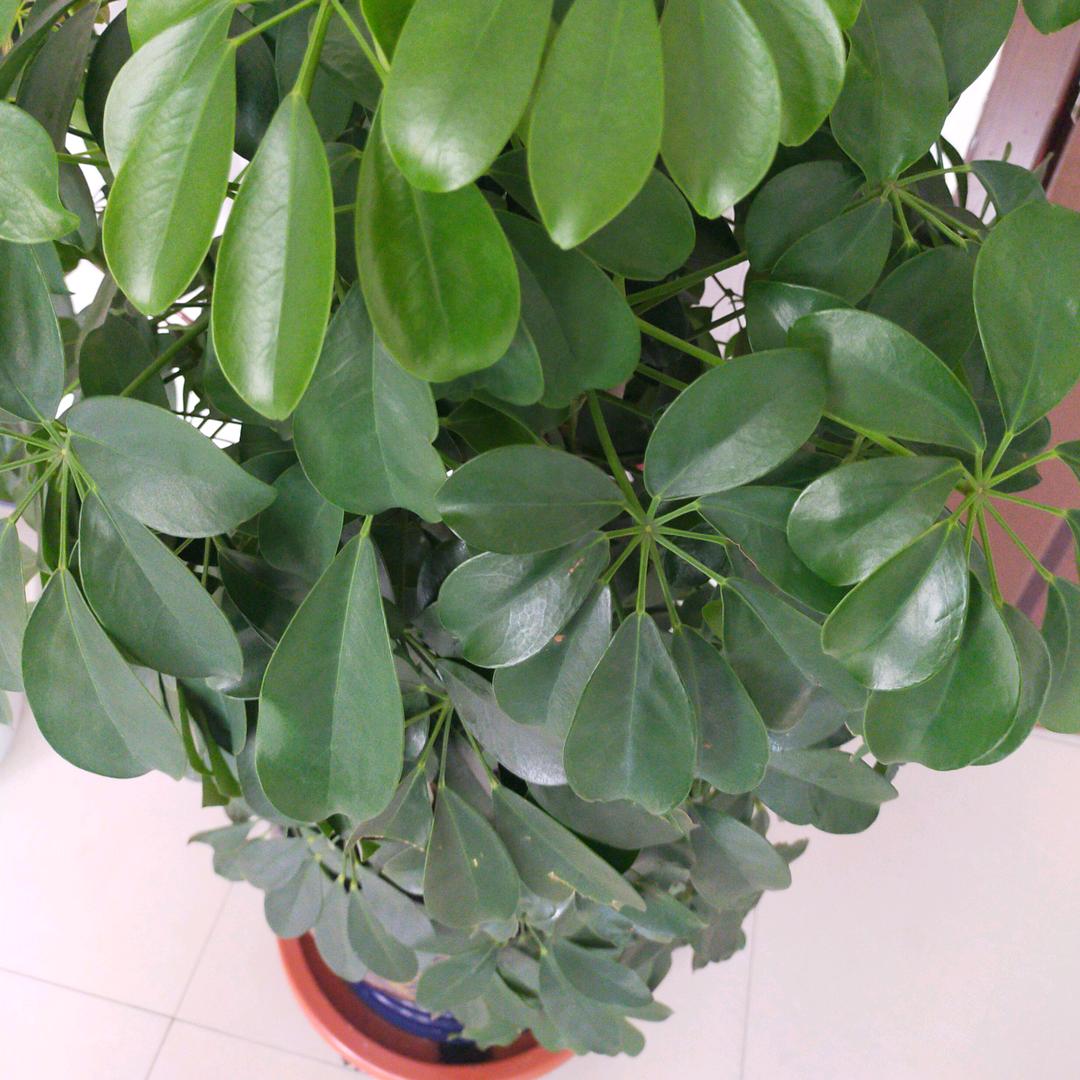 开心快乐每一天