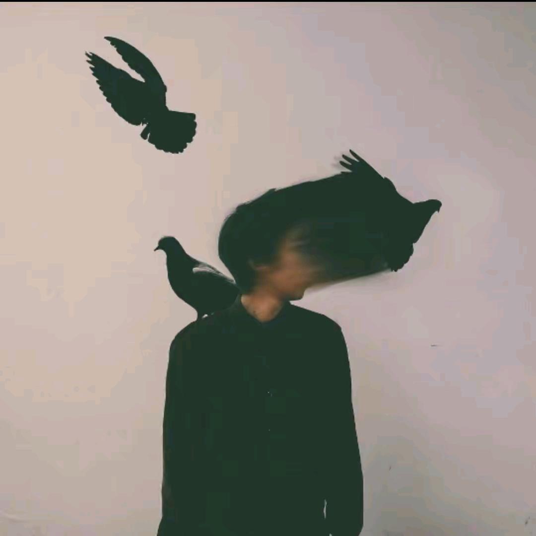 𝑱𝒂𝒔-艺术收藏家