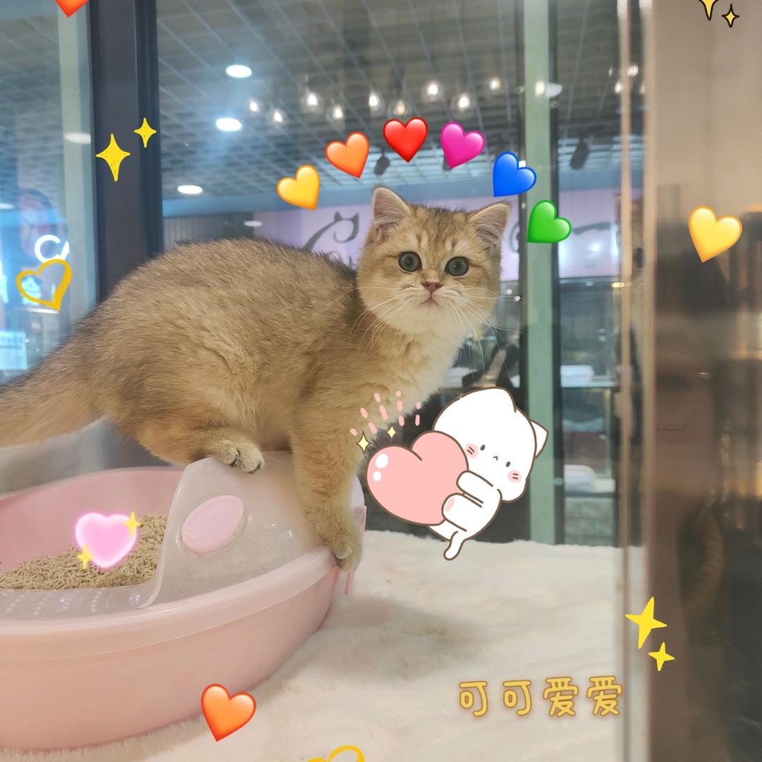 豆老板~