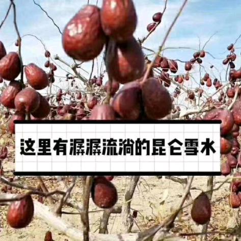 晓勤干果优品