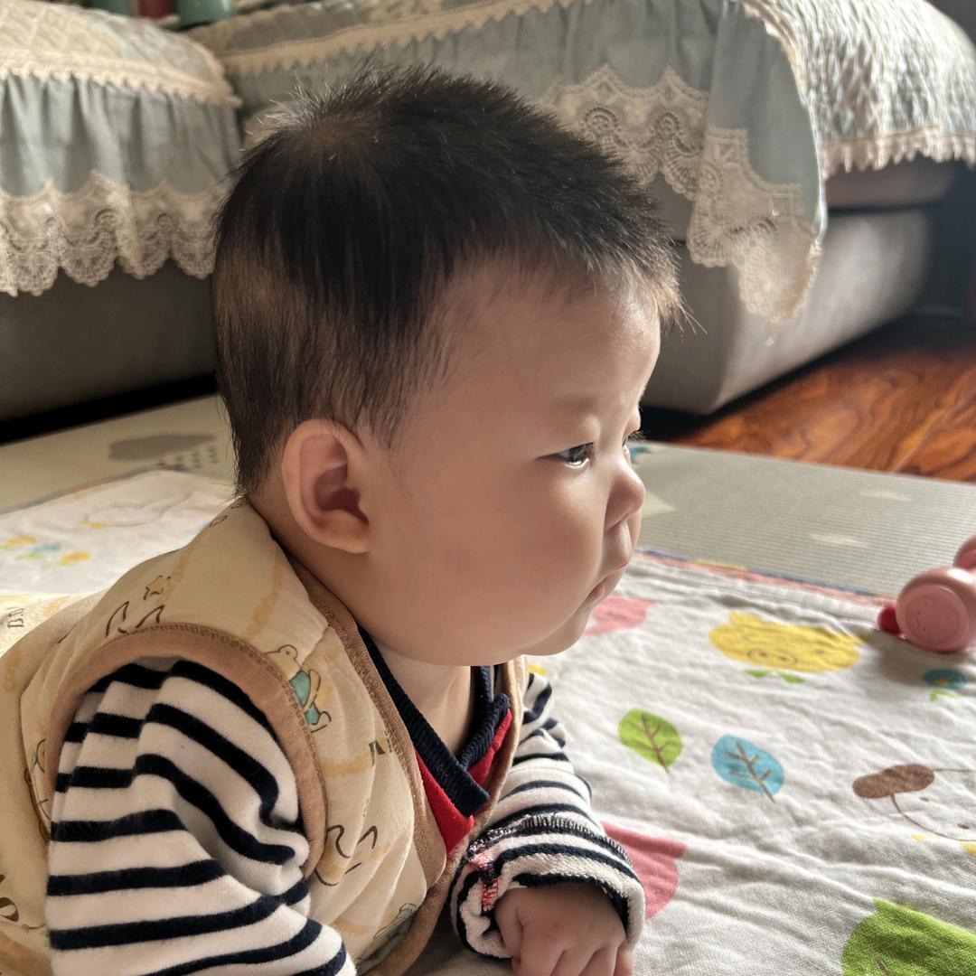 淡泊静心