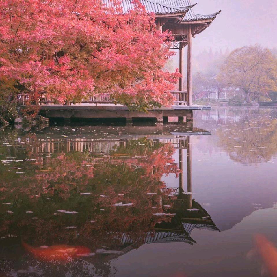 爱音乐