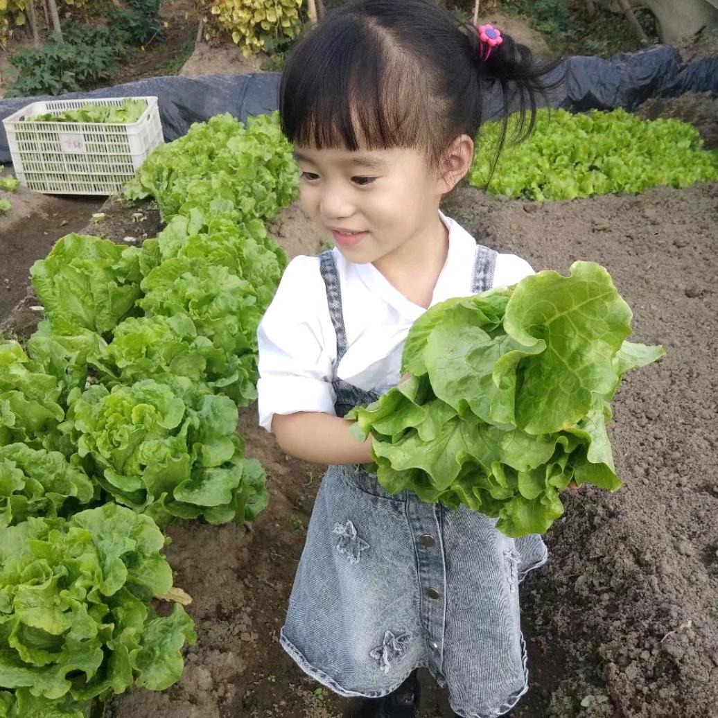 草原豆丁童装👉教直播带貨