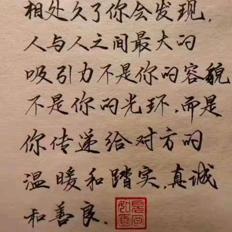 沈彩飞扬