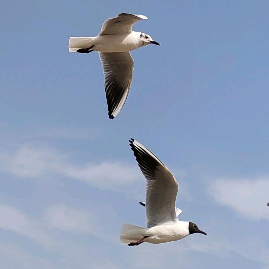 🌈🌈🌈喇叭和磁带