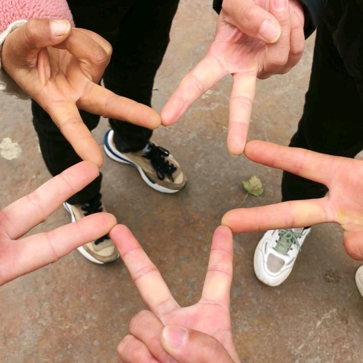 叶子97787