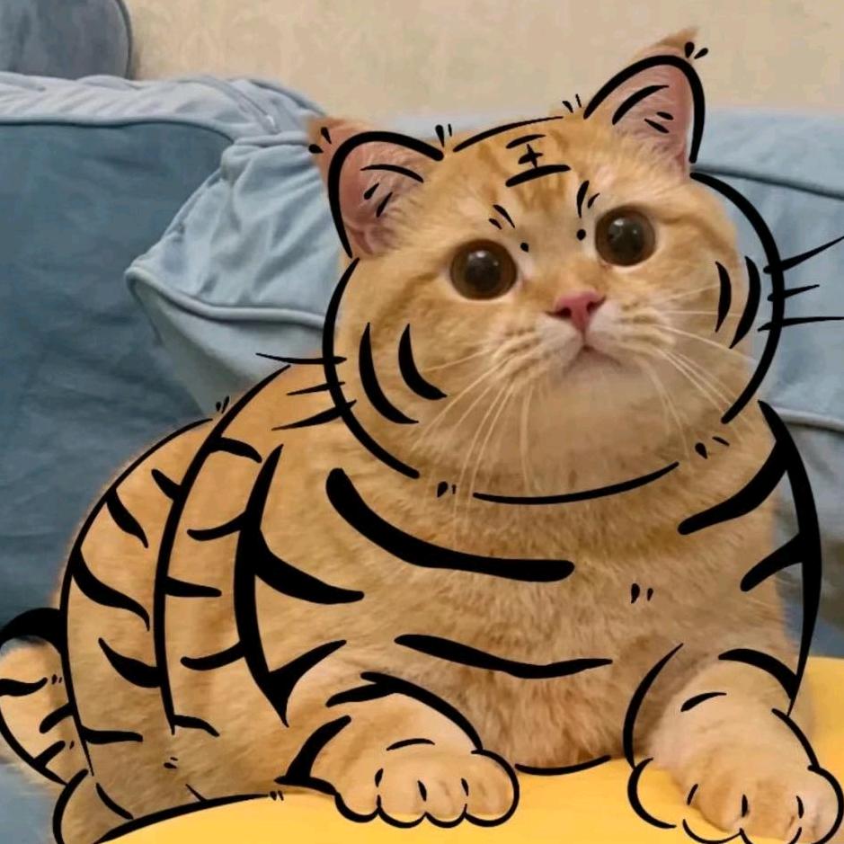 王哪写英语@抖音