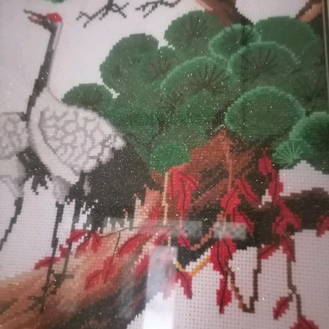 花开无声
