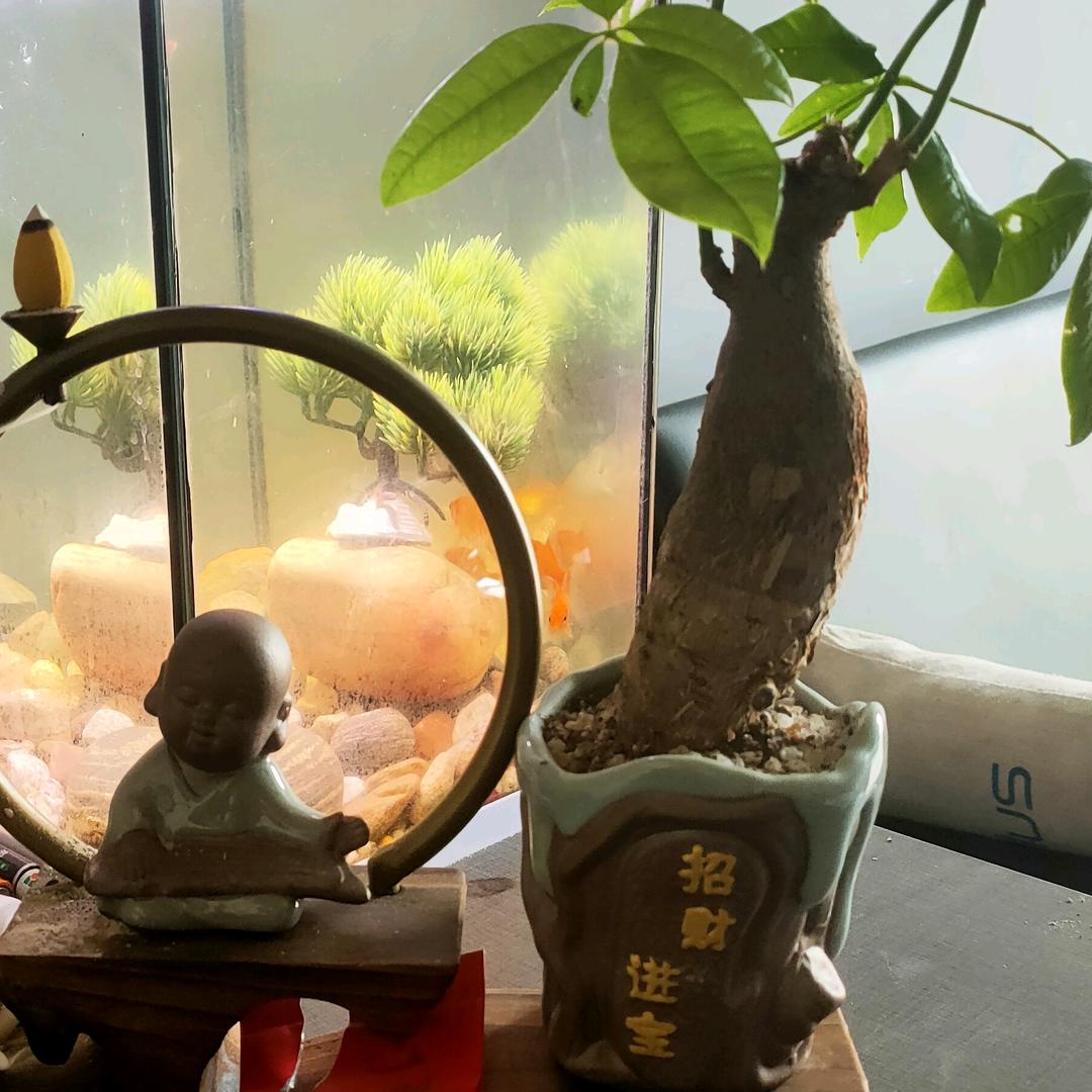 ‼️🌱丽都装饰