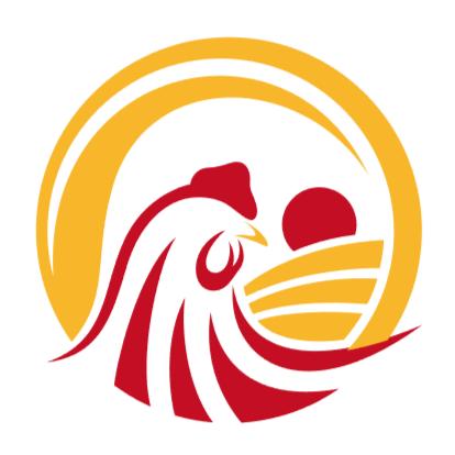 云南和力园岩鹰鸡