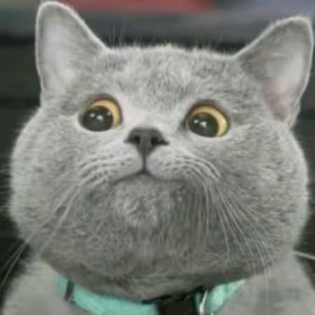 你今天带手机了嘛