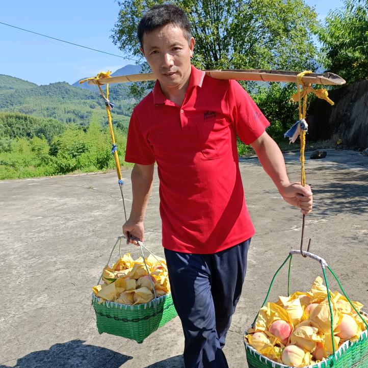 路恩农场