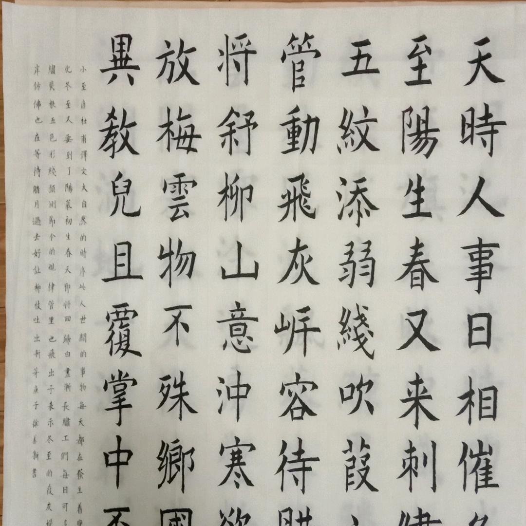 徐善新好物精选