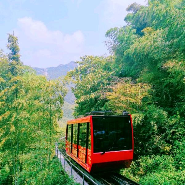 柠檬🍋气泡水