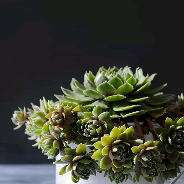 用户3502828869157虎哥