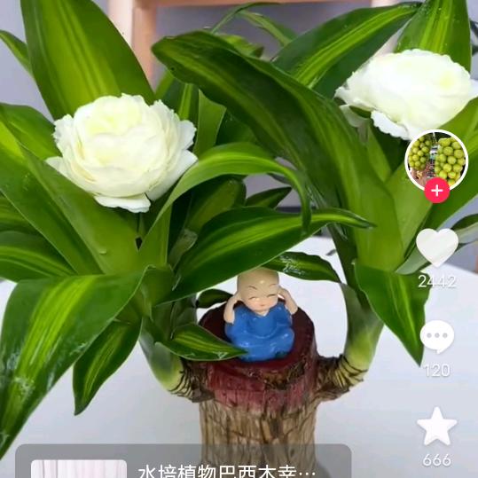 王延飞
