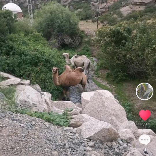 自然风景