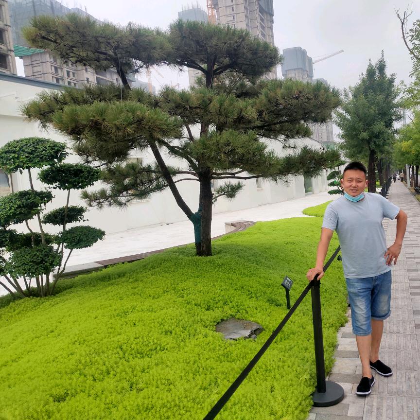 专业冲劲