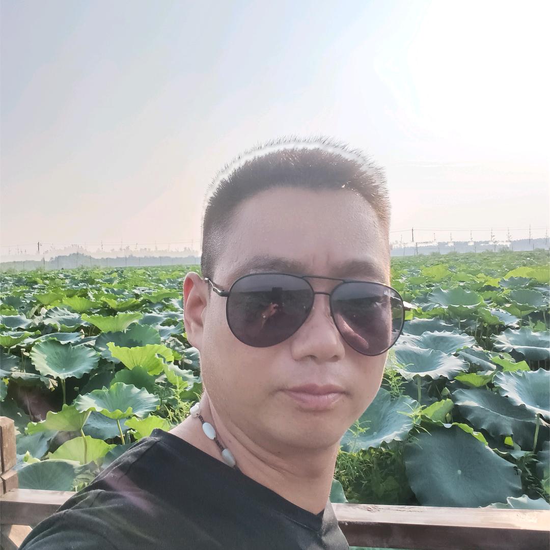 崔云伟