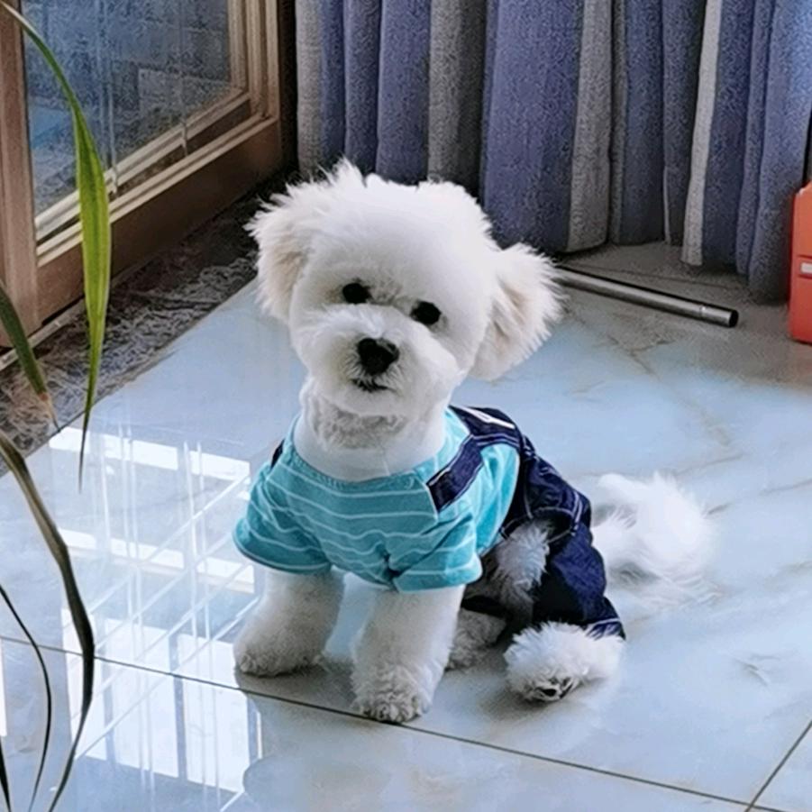 doudou