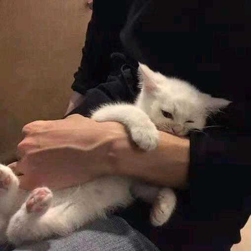 春风十里