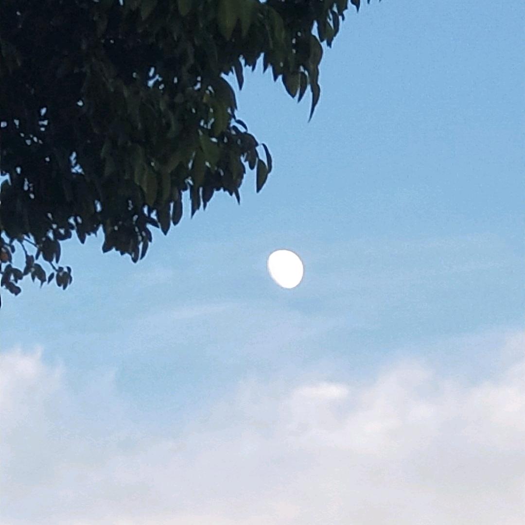 晨曦