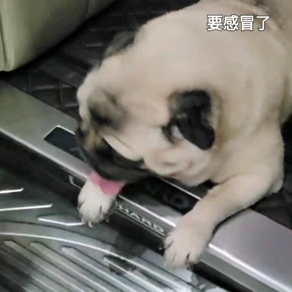 🇨🇳ʱªʱªʱª (ᕑᗢᓫ∗)˒