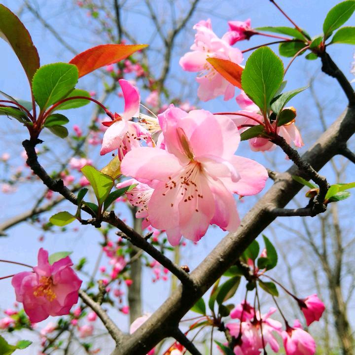 善良的人运气都不会太差,不认识拒绝加好友