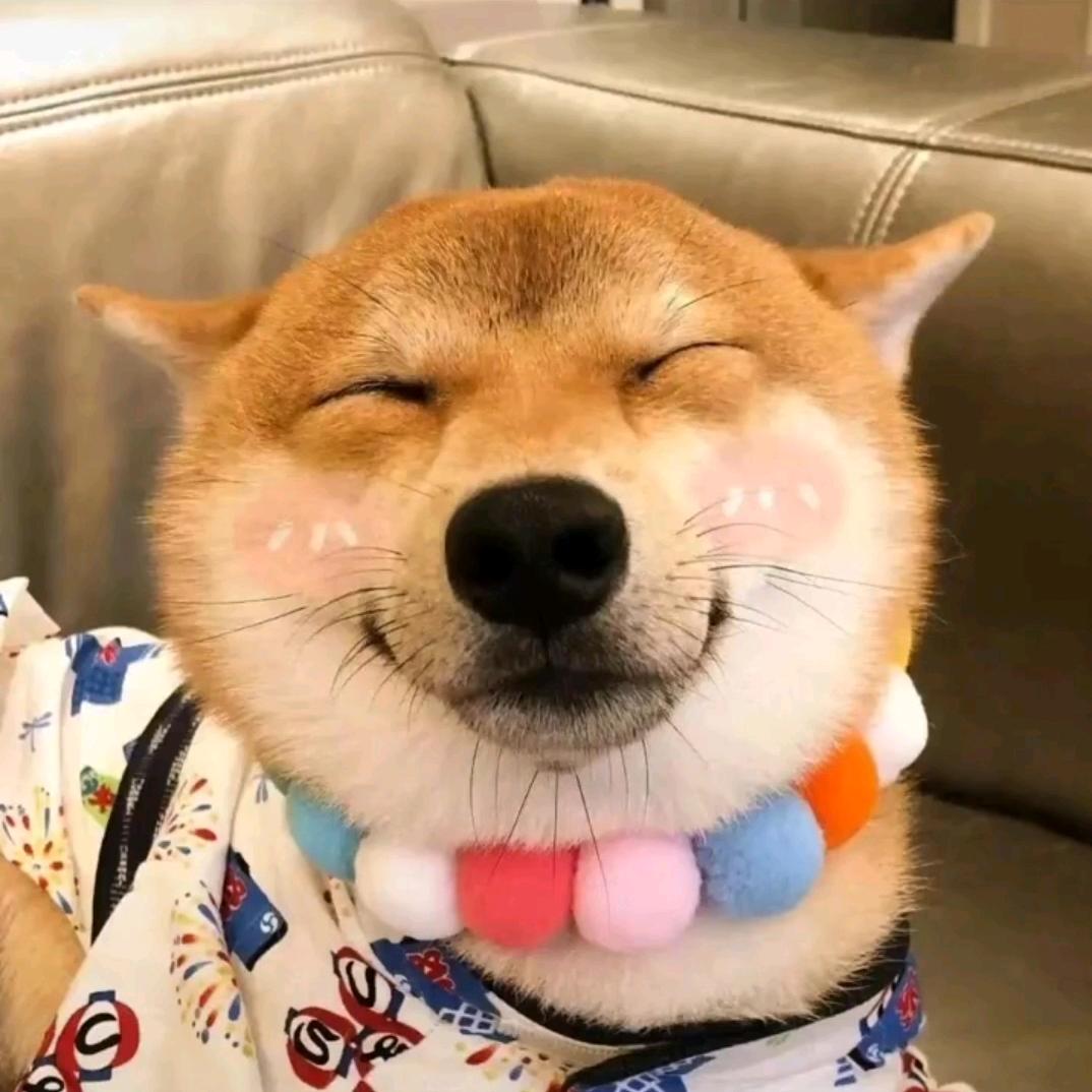 刘先生🌀
