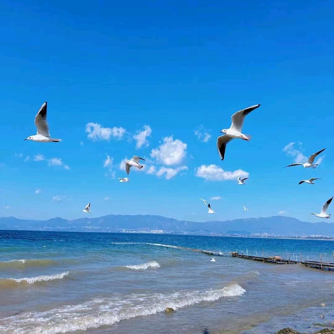 `   景