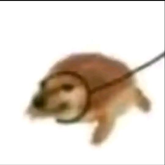 什么今天想吃胡辣汤