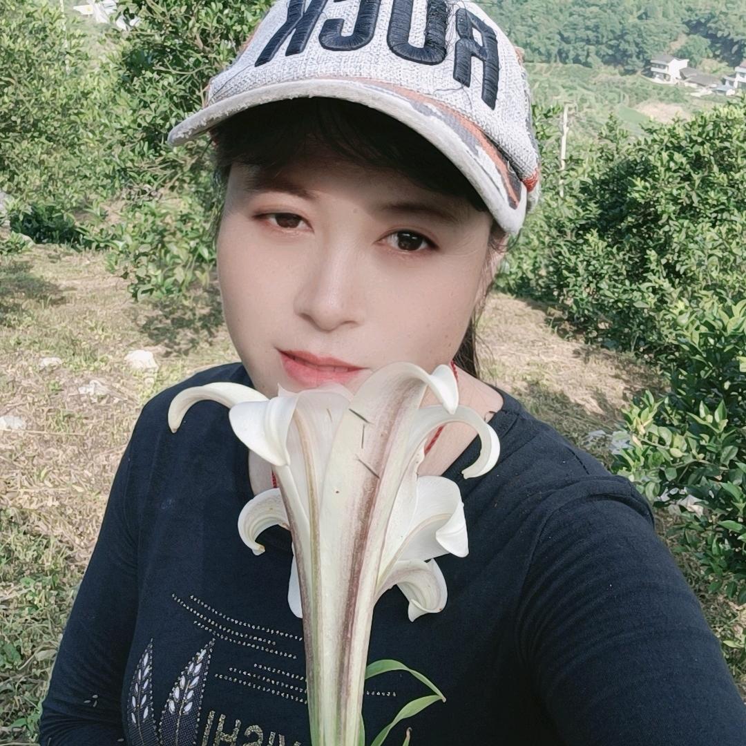 🌵千古幽兰