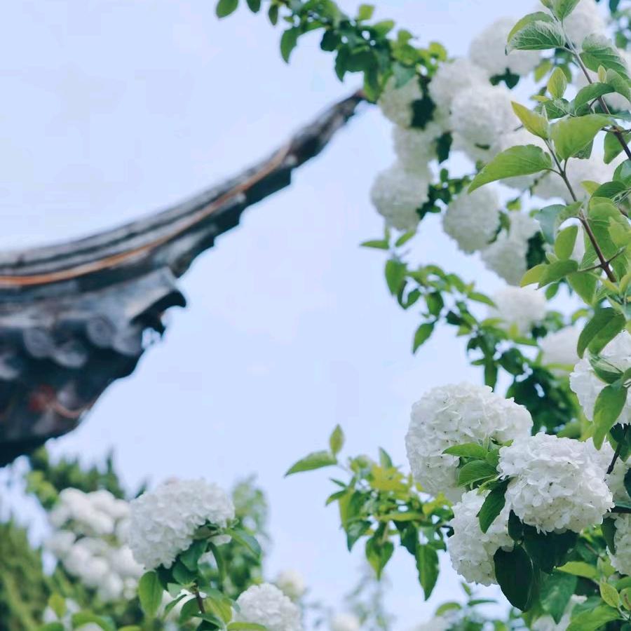 财神爷的小闺女