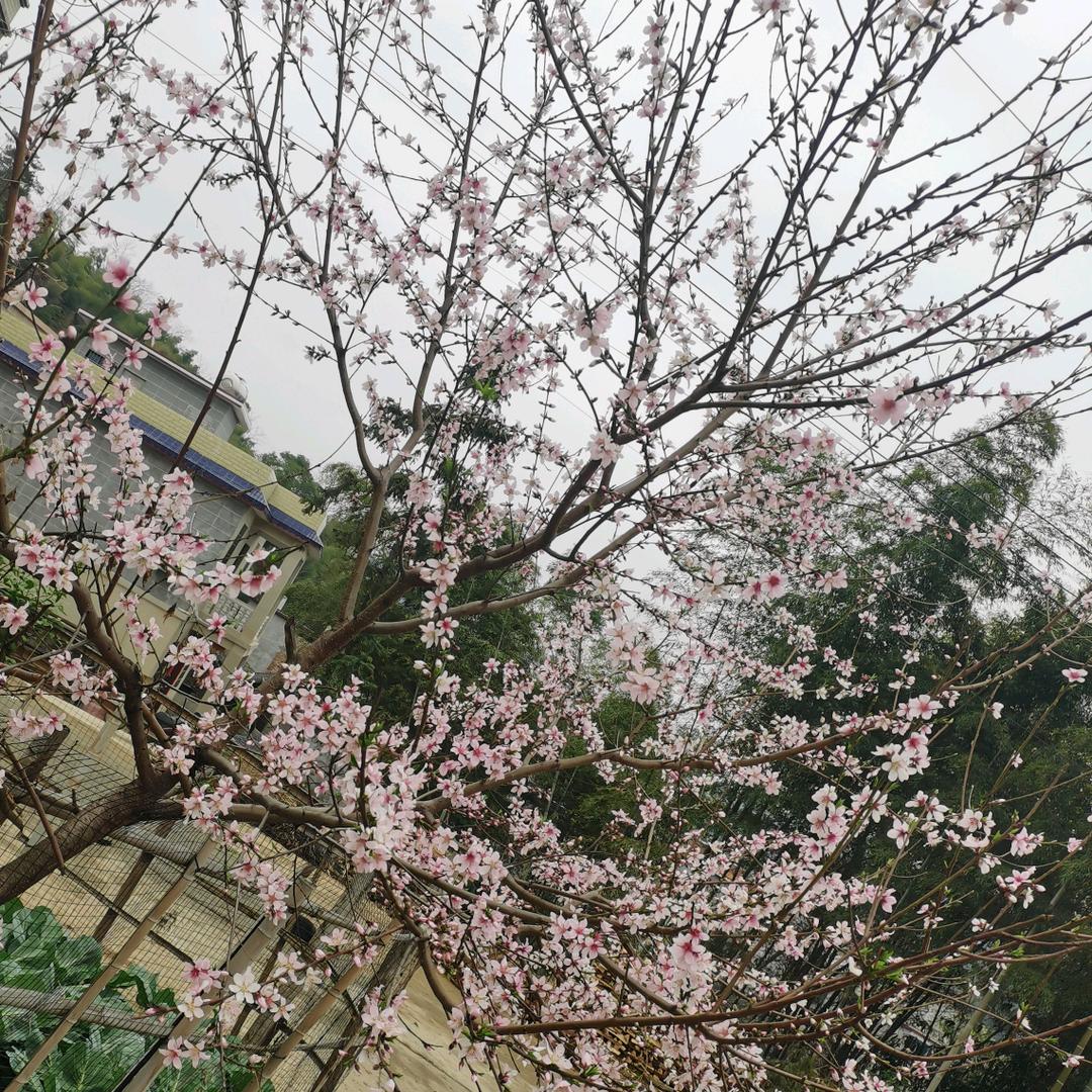 余生不将就❤️
