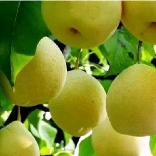 一季秋天🍂🍂